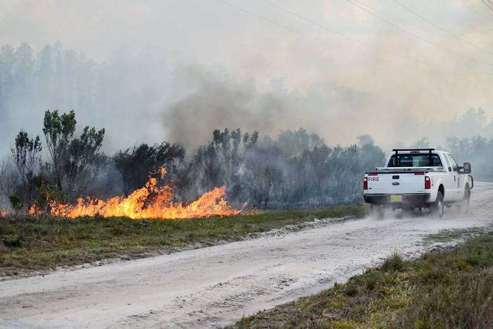 fire brush with white truck