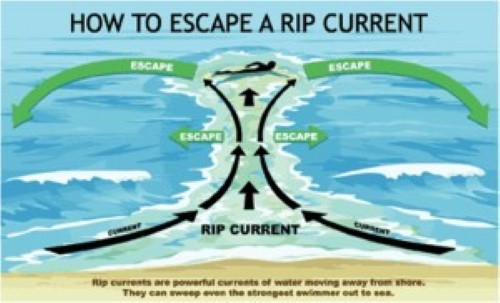 Rip currents are a natural hazard along coasts – here's how to